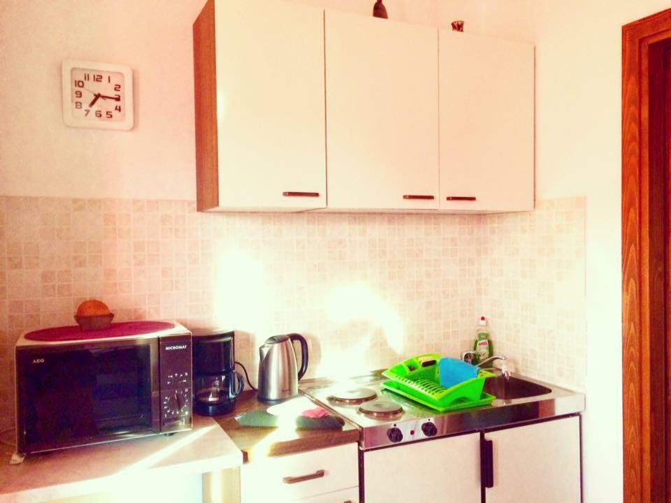 Apartment Emanuela Ровинско село Екстериор снимка